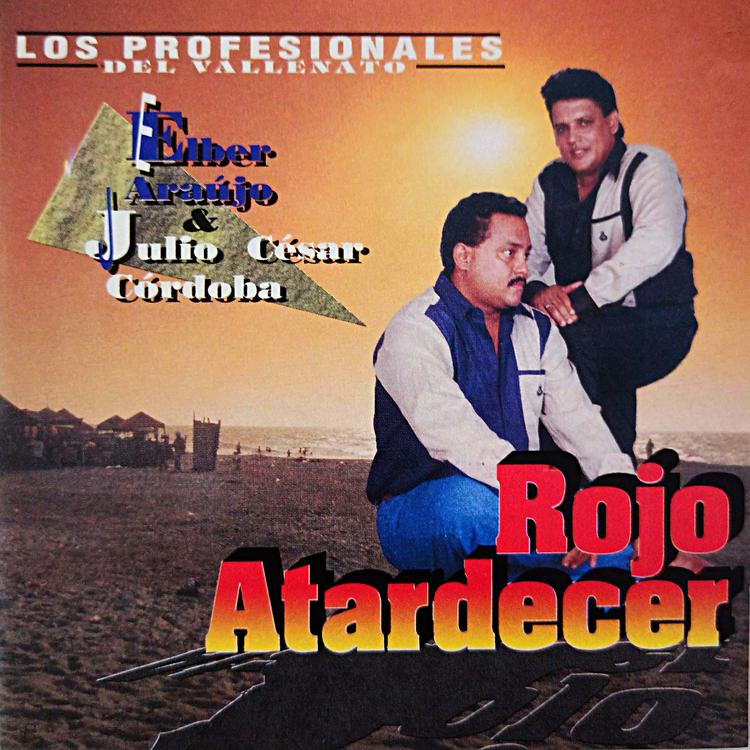 Los Profesionales del Vallenato's avatar image