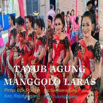 Agung Manggolo Laras, Vol. 1's cover