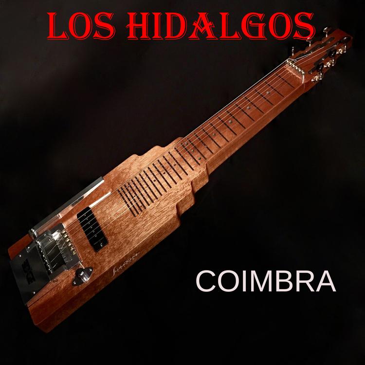 Los Hidalgos's avatar image