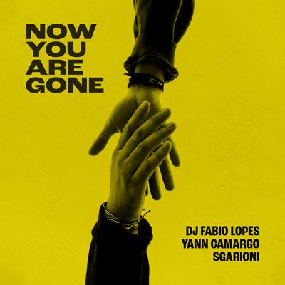 Now You Are Gone By Dj Fabio Lopes, Yann Camargo, Sgarioni's cover