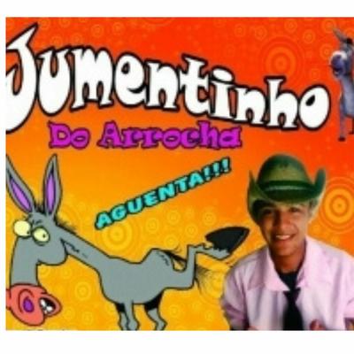 Jumentinho do arrocha's cover