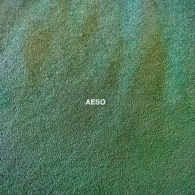 AESO's cover