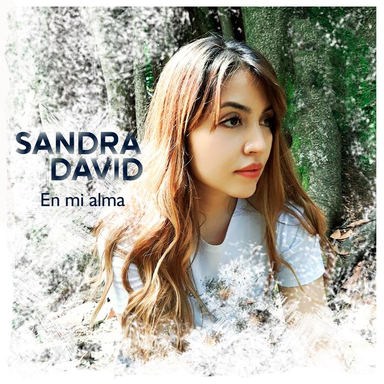Sandra David's avatar image