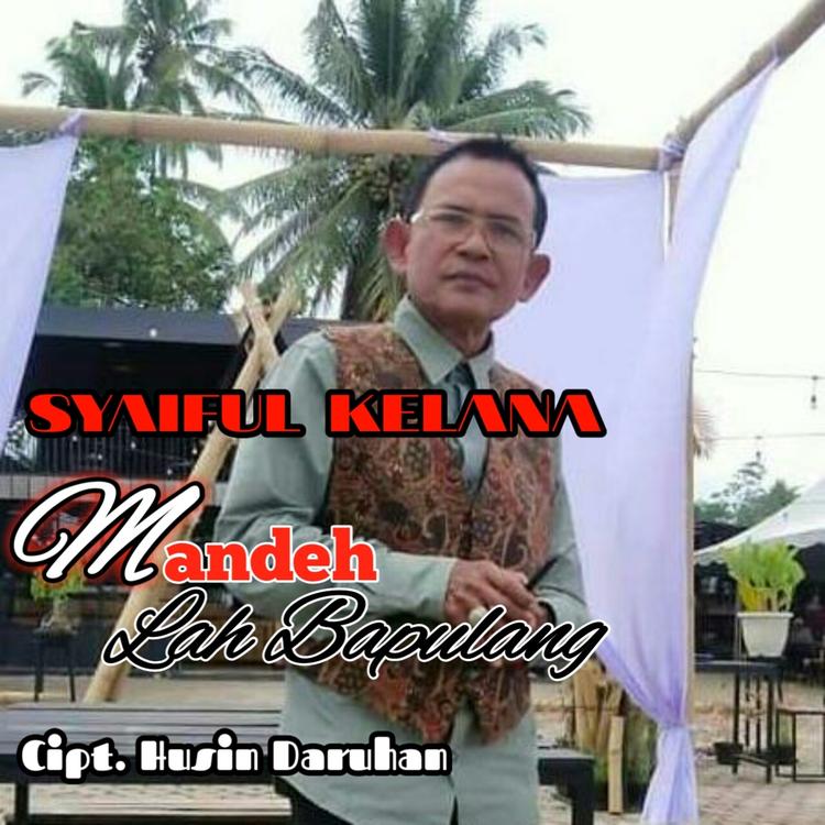 Syaiful Kelana's avatar image