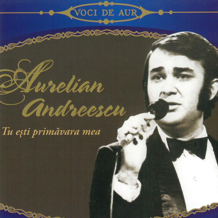 Aurelian Andreescu's avatar image