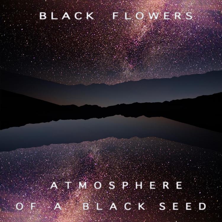 Black Flowers's avatar image