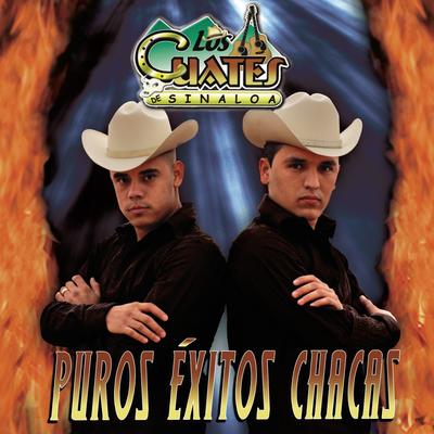 Puros Exitos Chacas's cover