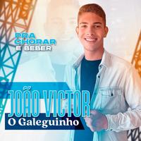 João Victor O Galeguinho's avatar cover