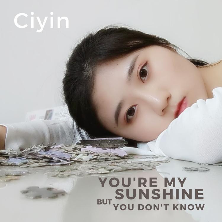 Ciyin's avatar image