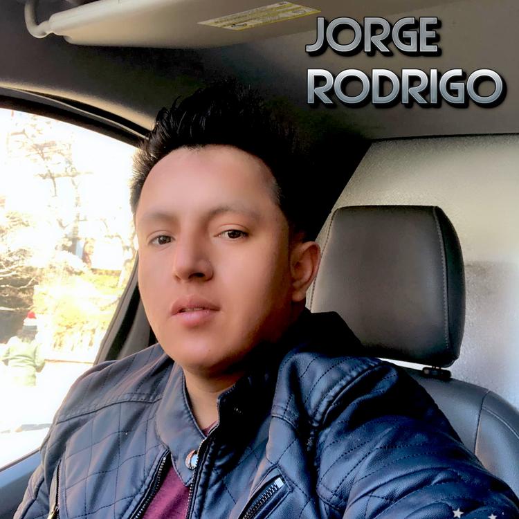 Jorge Rodrigo's avatar image