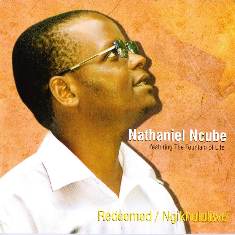 Nathaniel Ncube's avatar image