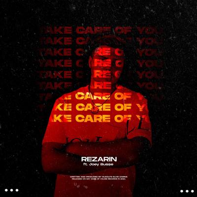 Take Care Of You By REZarin, Joey Busse, Cubfonic's cover