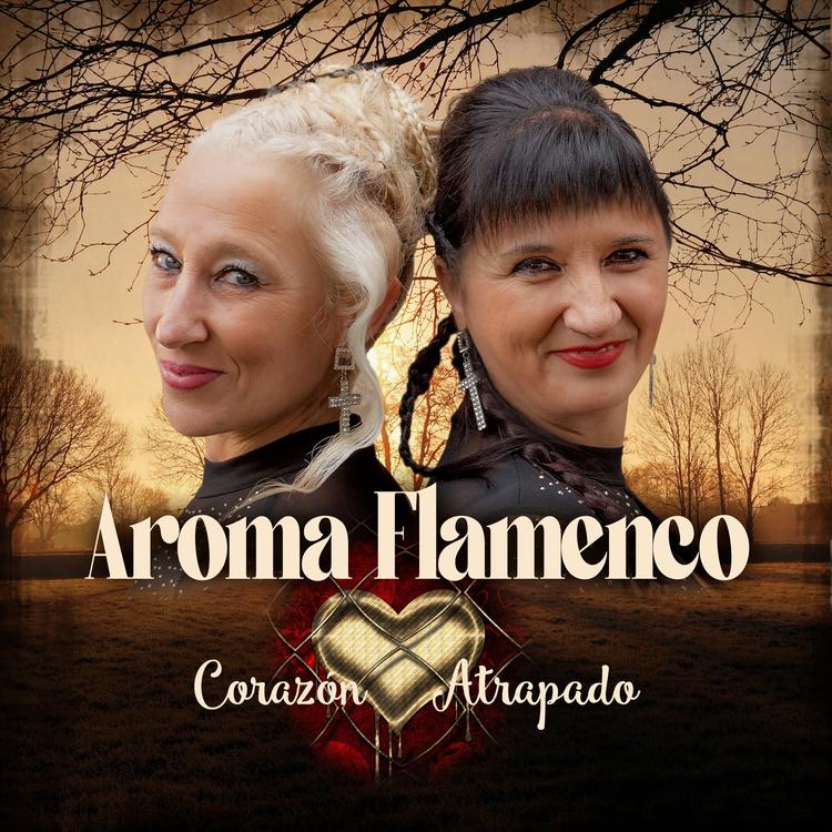 Aroma Flamenco's avatar image