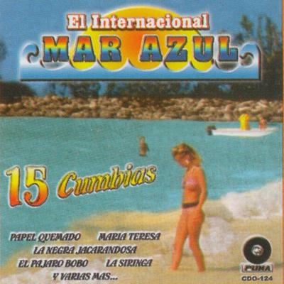 15 Cumbias's cover