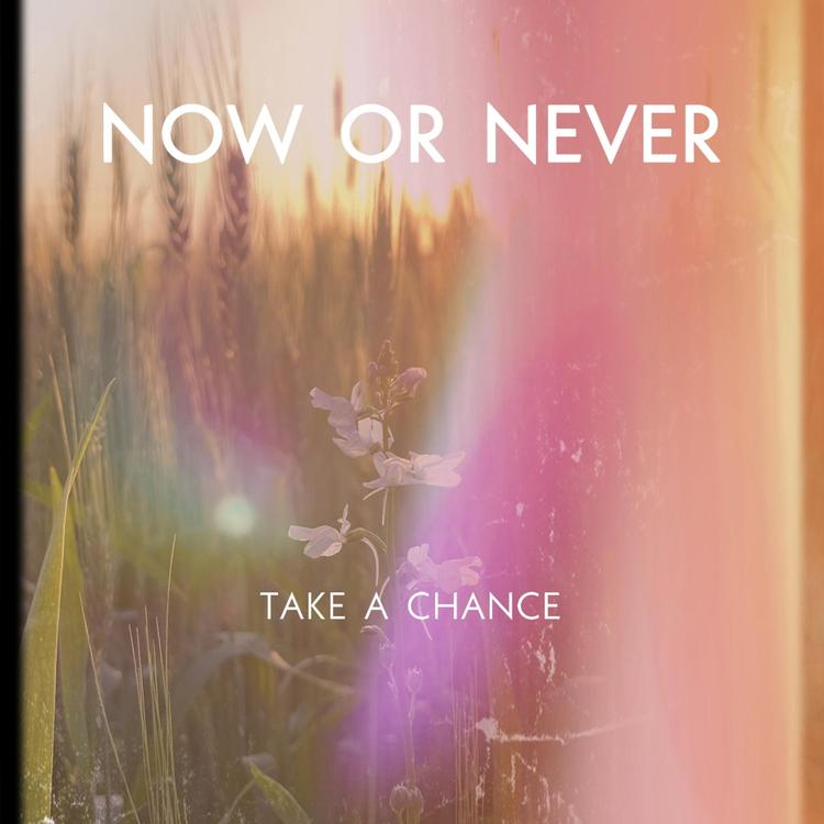 Take A Chance's avatar image