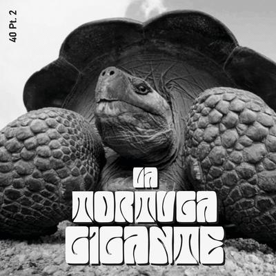 La Tortuga Gigante's cover