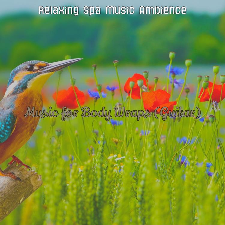 Relaxing Spa Music Ambience's avatar image