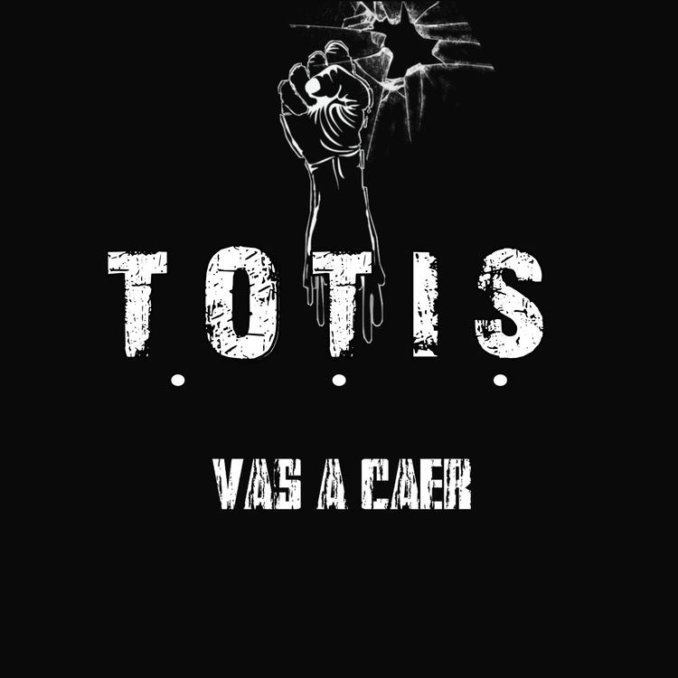 Totis's avatar image
