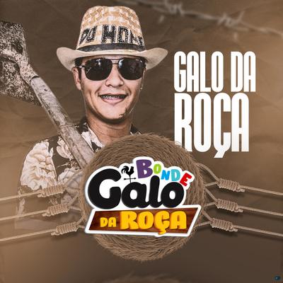 A Dani Senta (Brega Funk) By Bonde Galo Da Roça's cover