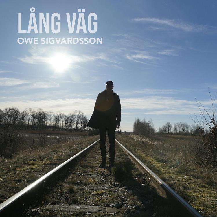 Owe Sigvardsson's avatar image