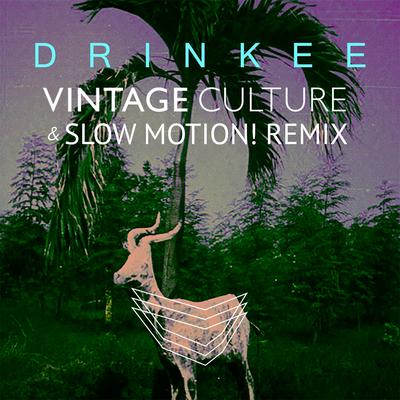 Drinkee (Vintage Culture & Slow Motion! Remix)'s cover