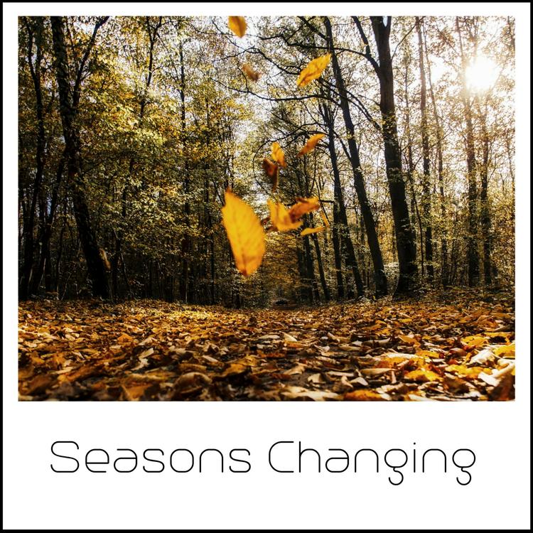 Seasons Changing's avatar image