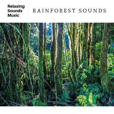 Jungle & Rainforest Sounds's cover