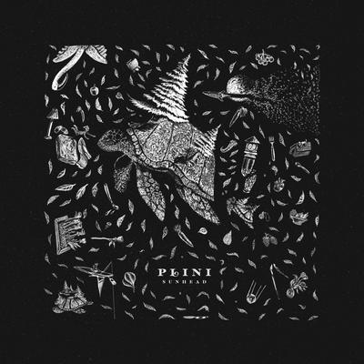 Kind By Plini's cover