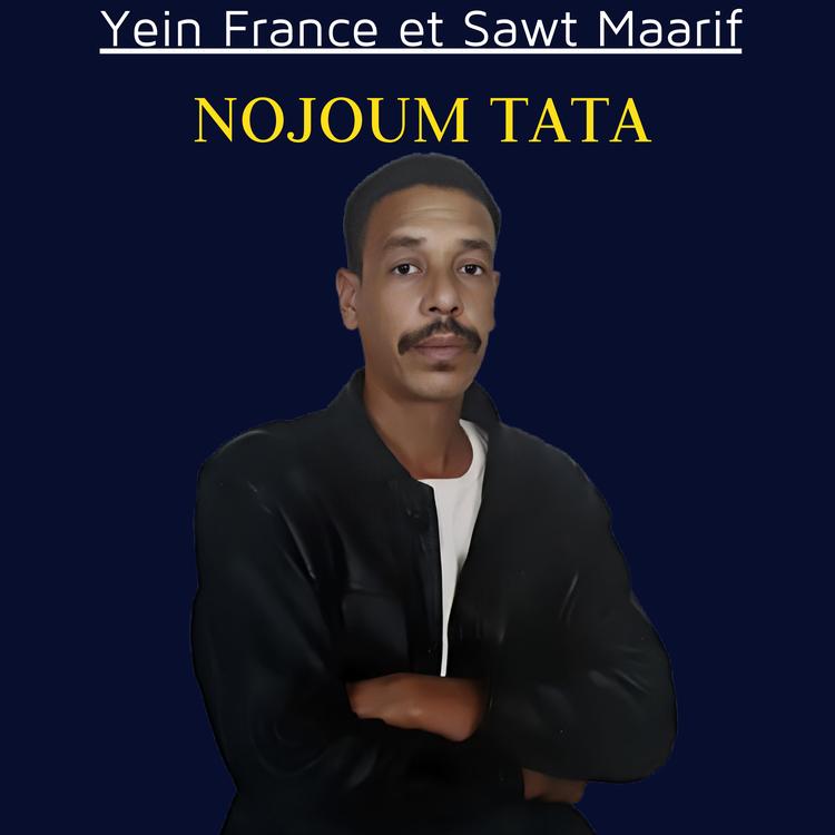 Nojoum Tata's avatar image