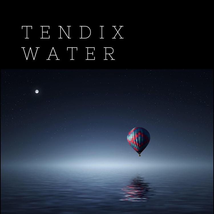 Tendix's avatar image