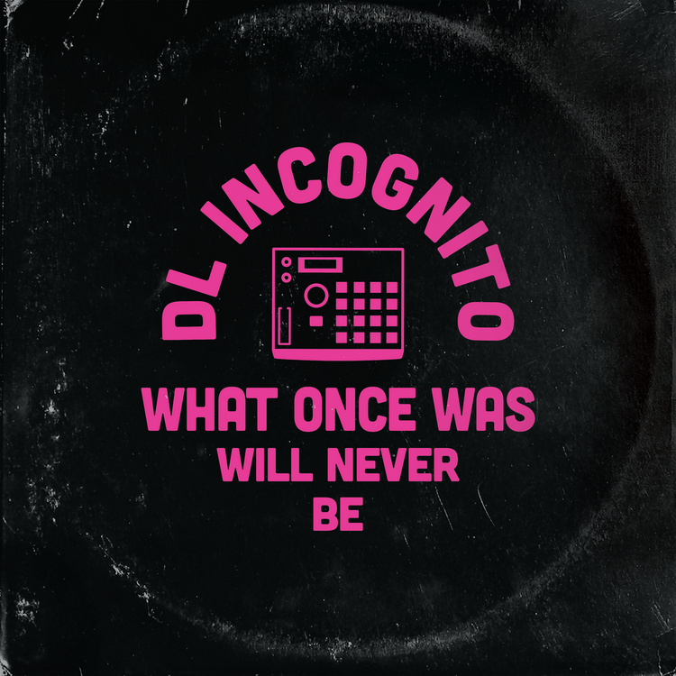 DL Incognito's avatar image