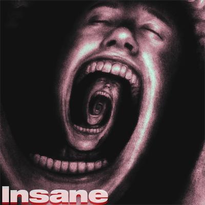 Insane By Seeker Visuals's cover