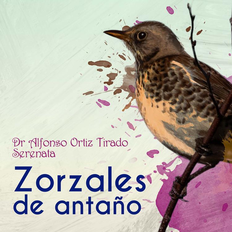 Dr. Alfonso Ortiz Tirado's avatar image