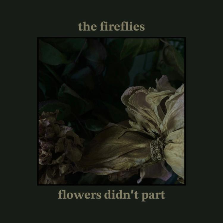 The Fireflies's avatar image