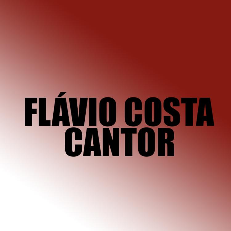 FLÁVIO COSTA CANTOR's avatar image