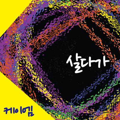 살다가's cover