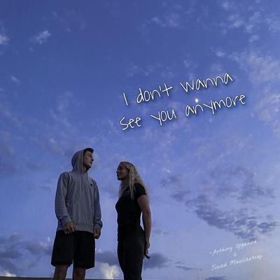 I Don't Wanna See You Anymore (slowed + reverb) By Anthony Opgaard, Josiah MacCartney's cover