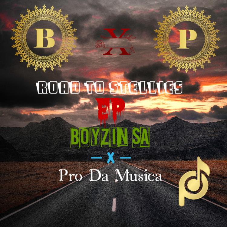 Boyzin SA's avatar image