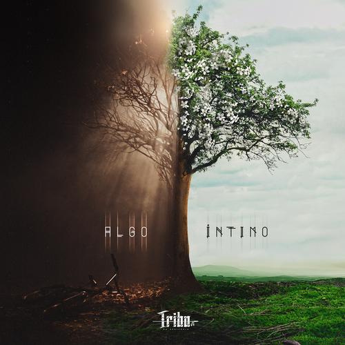 Algo Íntimo's cover