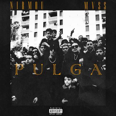 Pulga's cover