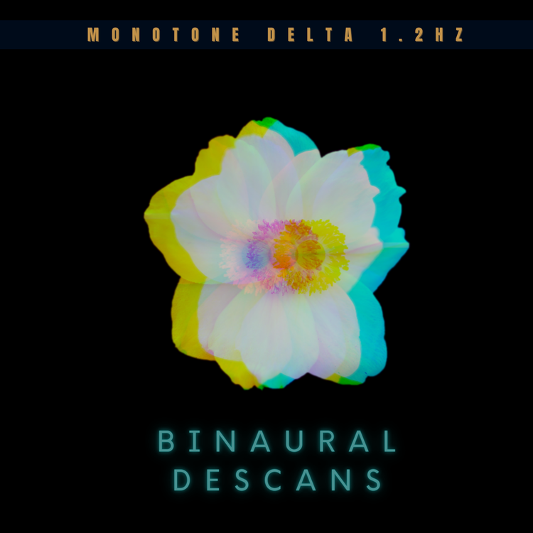 Binaural Descans's avatar image