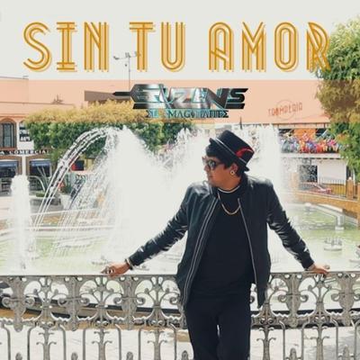 Sin tu amor's cover