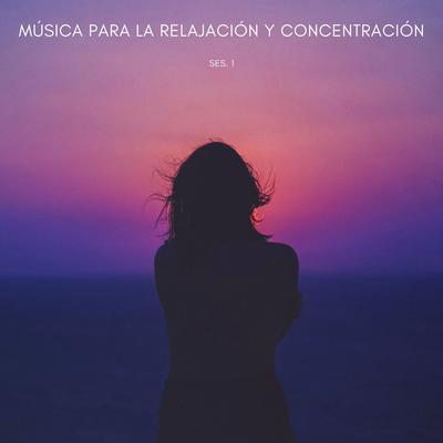 Experiencia De Estudios, Concentración y Descanso's cover