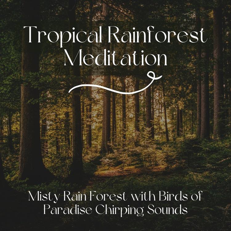 Rainforest Music Lullabies Ensemble's avatar image