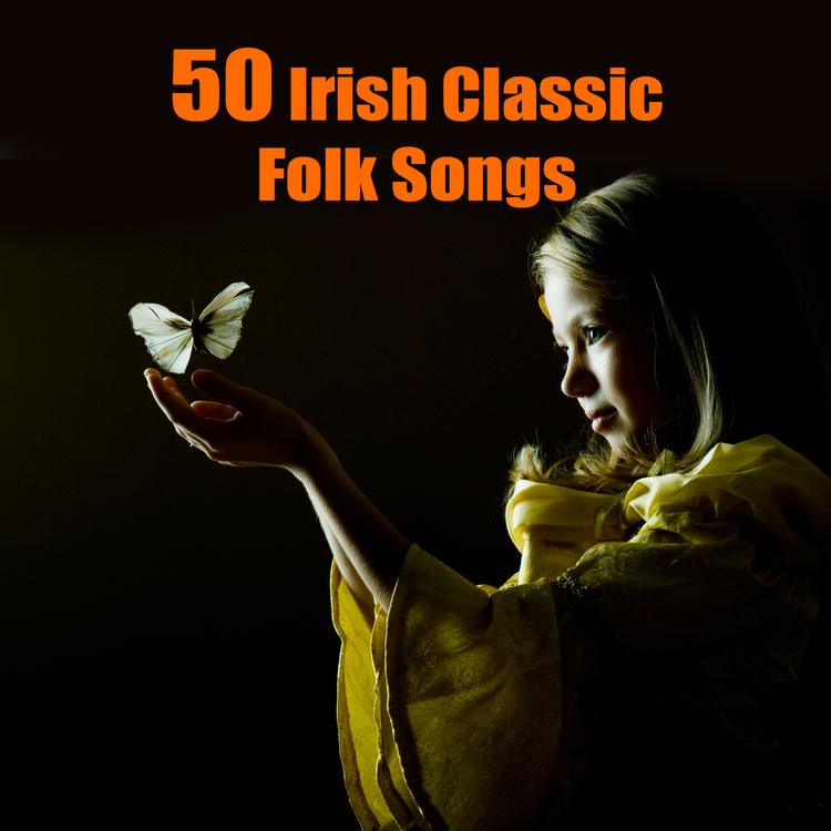 Irish Folk Players's avatar image