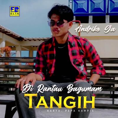 Di Rantau Bagumam Tangih's cover