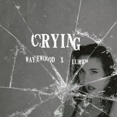 Crying By Waynewood, LUMRY's cover