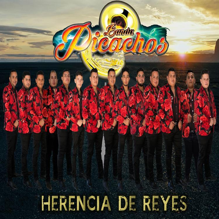 Banda Picachos's avatar image