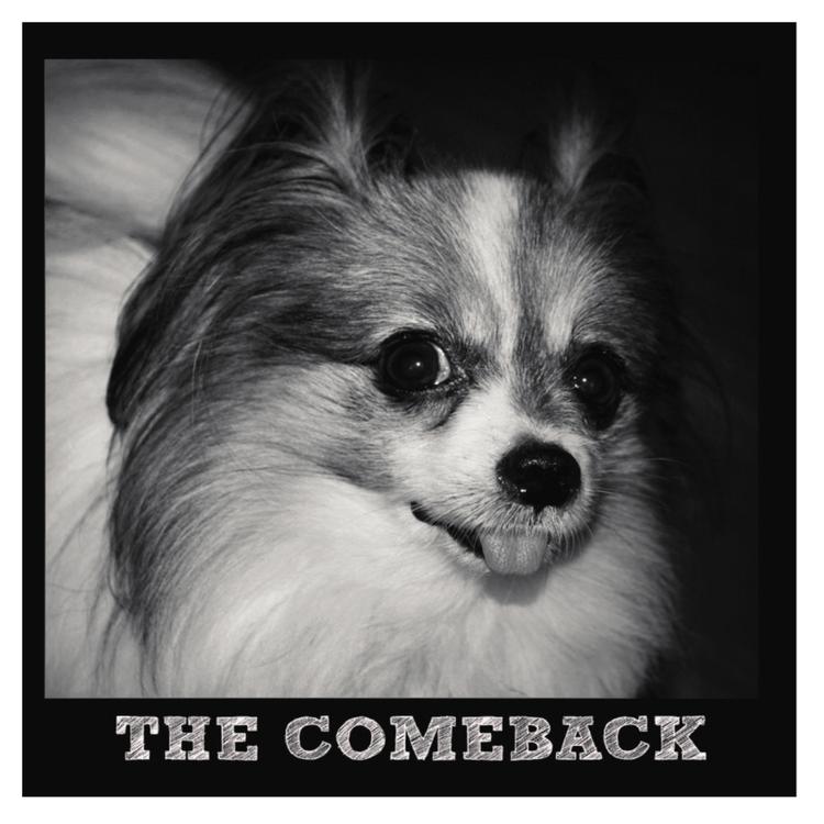 The Comeback's avatar image