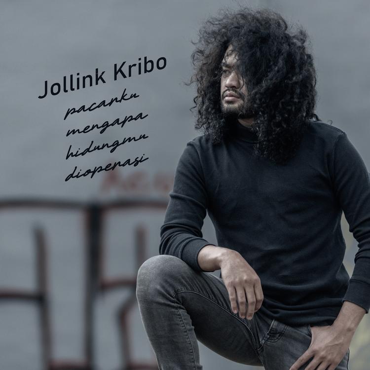 Jollink kribo's avatar image